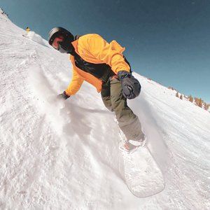 Meet your Posher, Dudley